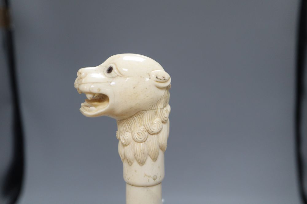 An Indian bone walking cane, with dog handle, c.1960, length 92cm